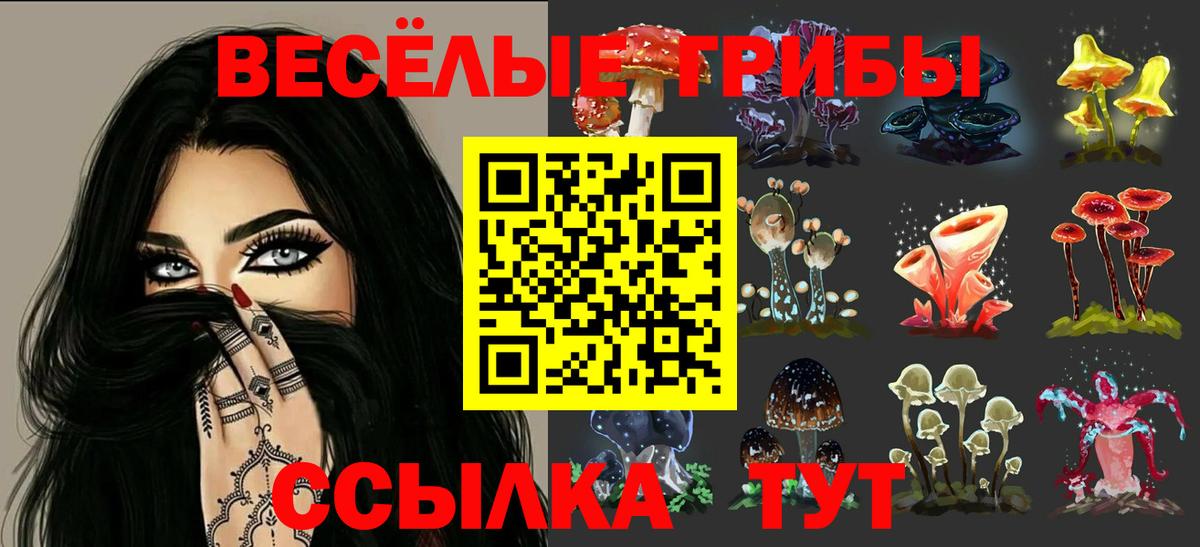 Псилоцибиновые грибы Magic Shrooms Озёрск