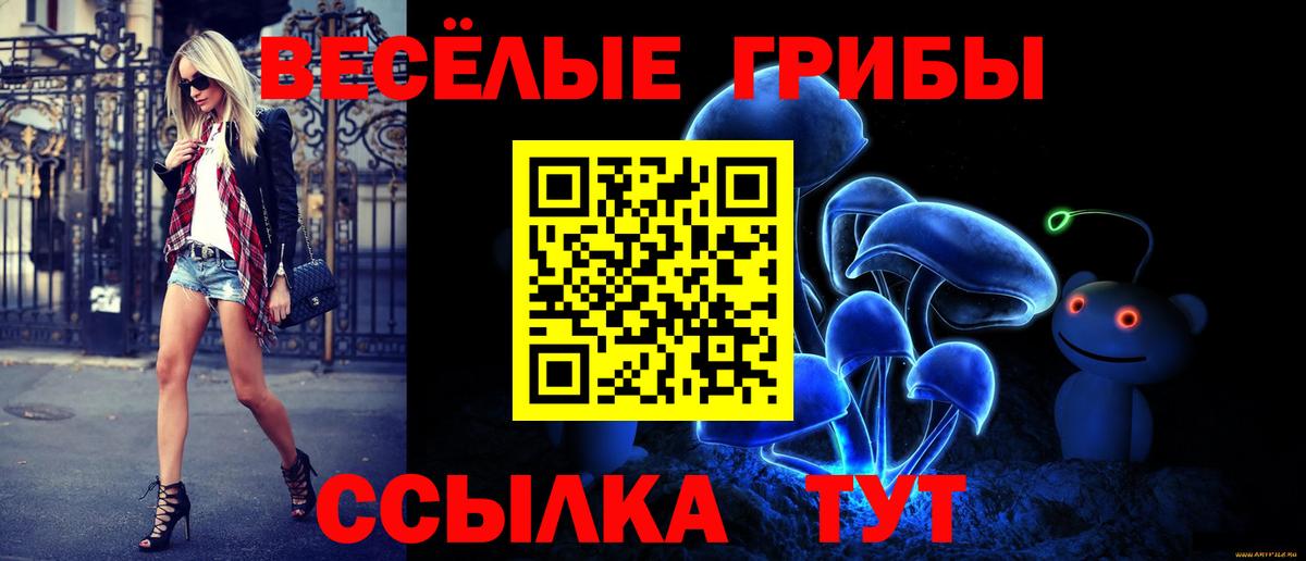 Озёрск  Псилоцибиновые грибы Cubensis  Вход с VPN 
